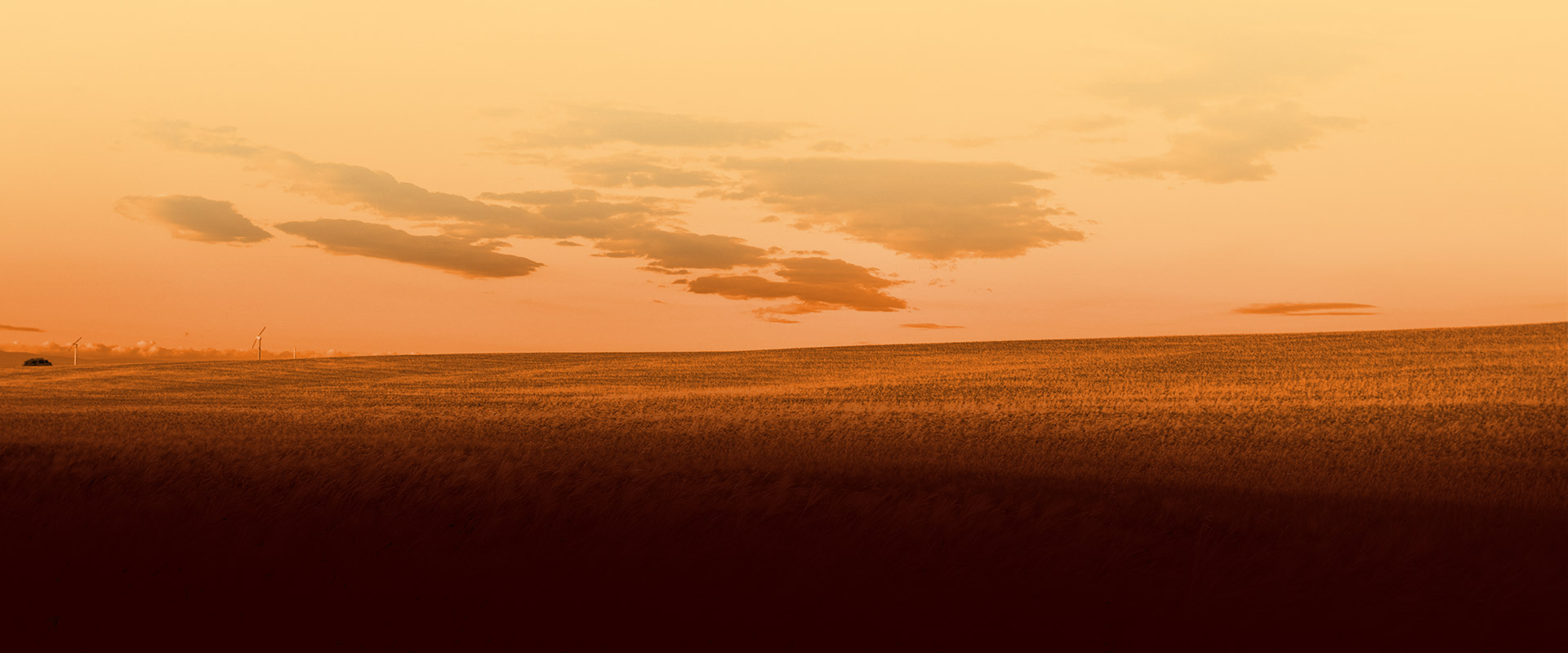 bg-footer-sezione-il-grano-new2