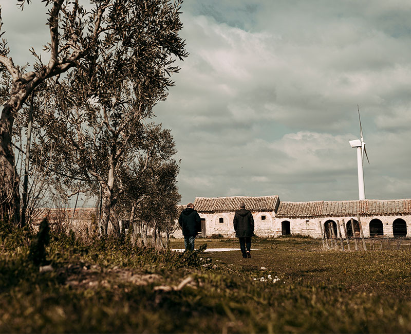 sez-sotto-header-new-la-terra-sm
