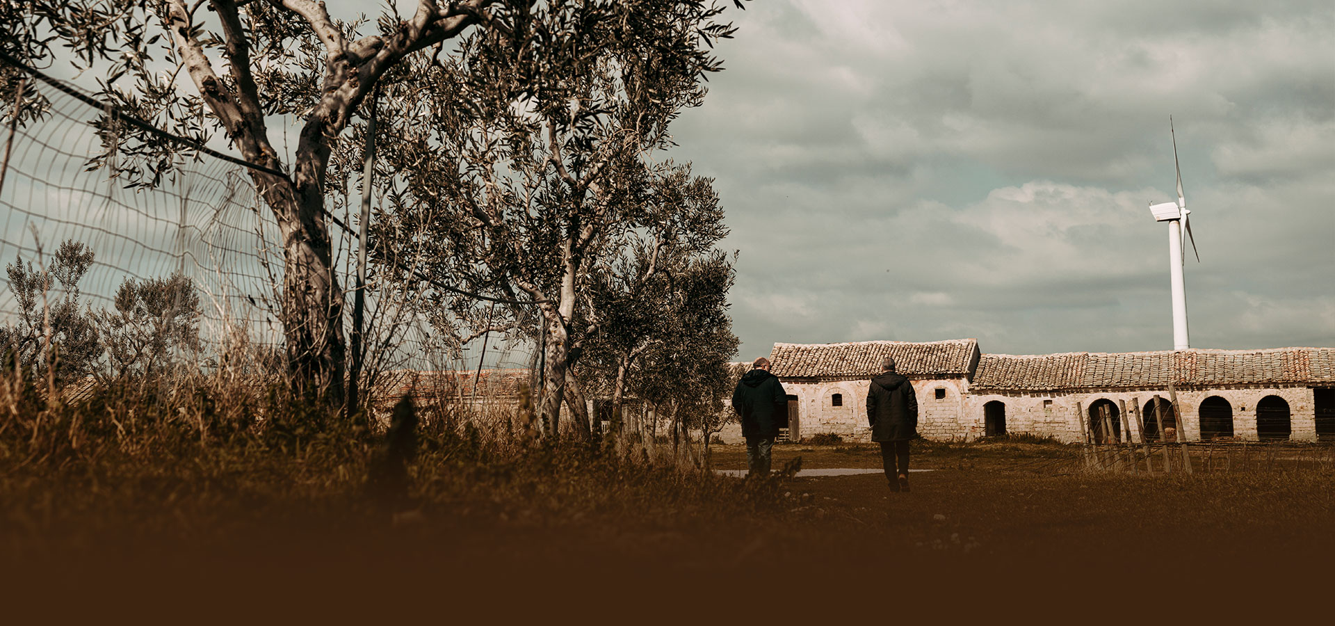 sez-sotto-header-new-la-terra